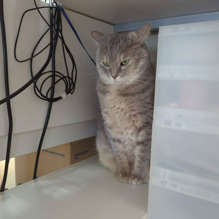 223aac22 e750 45aa 8e5f dc0e8654a210 1694577049303