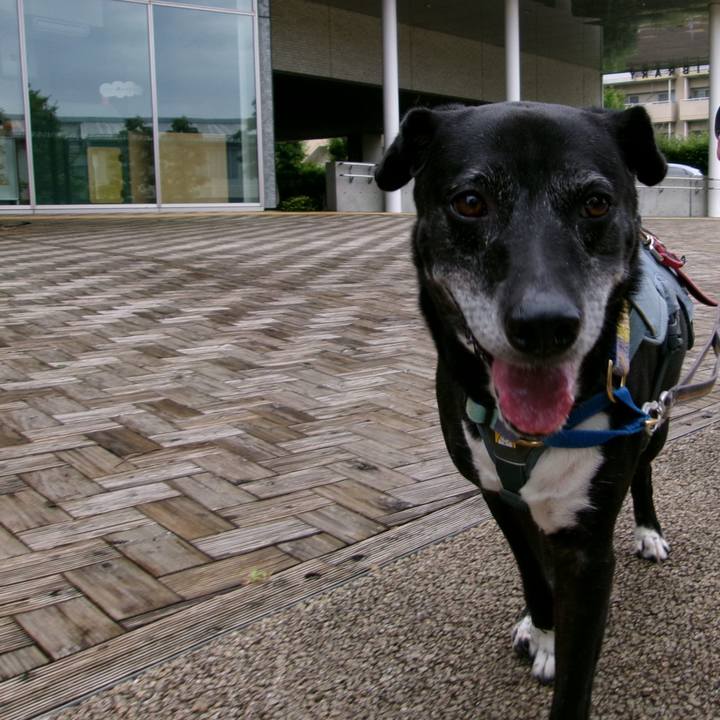 223ab04f d379 4dd4 90f9 07e4481d6765 1754093299533