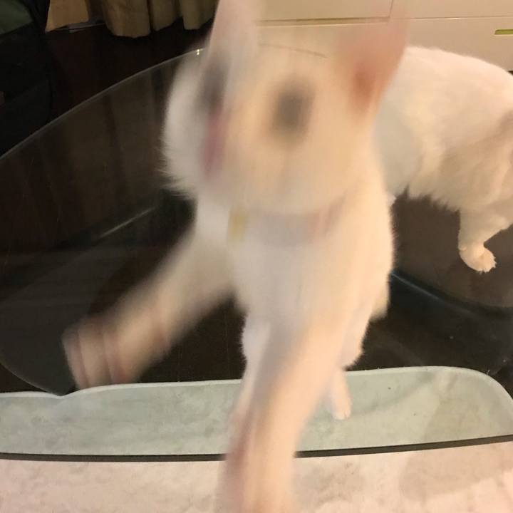 223ab6c7 5044 4b4f b2c6 2c85eb3ff145 1580038994020