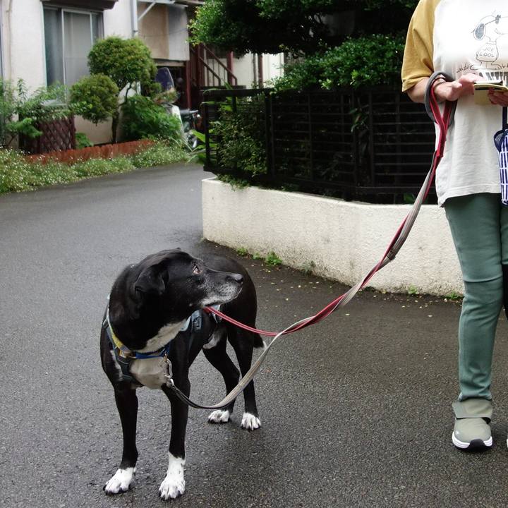 223ac59e fcbb 4d4f 97be 4da9822a1982 1749946664709