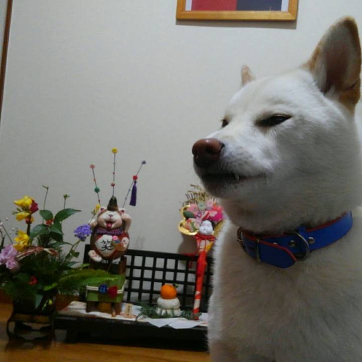 223aea27 ff61 4cb8 afac c803daf4818f 1514803229950