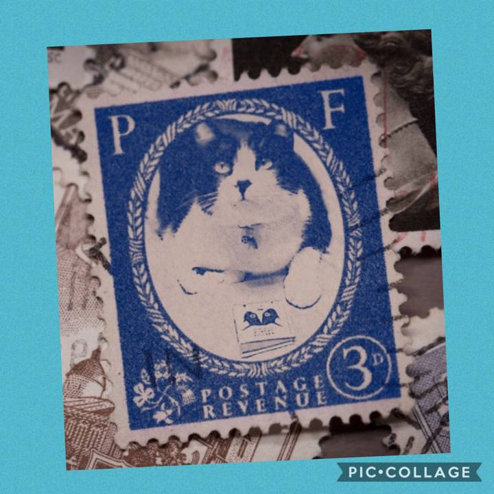 223b10a9 4137 4a7f a00c 2b18dabc9155 1569935633589