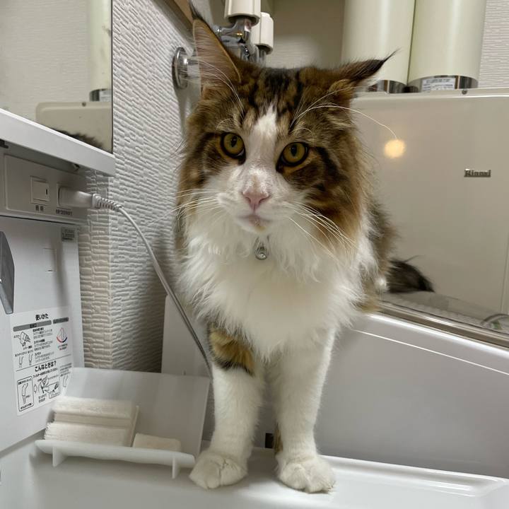 223b175e 8185 49fc b785 b9a8c49d57a2 1644352786705