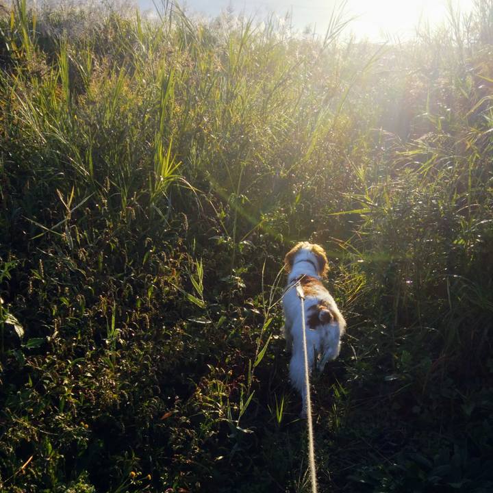 223b1a3e 547b 4ff8 9849 89f0e8c27cf7 1540513607271