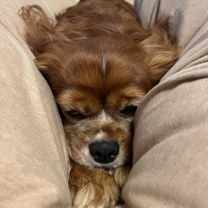 223b1ca0 b48f 4e47 bac8 736c8f79270f 1670883733728