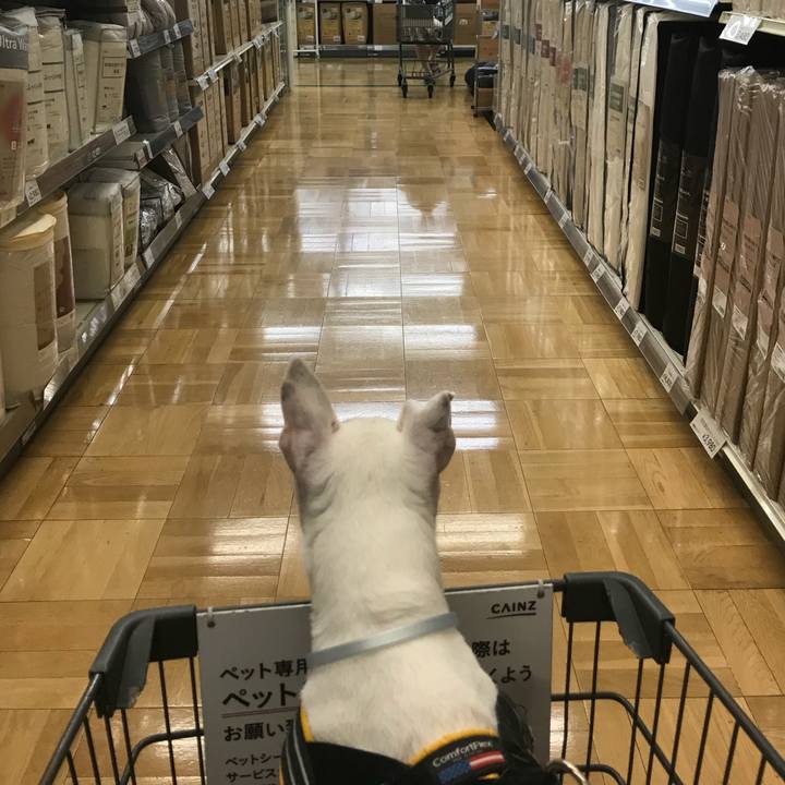 223b321f a1a3 401d a1e9 6e21efaf11cb 1564806505820