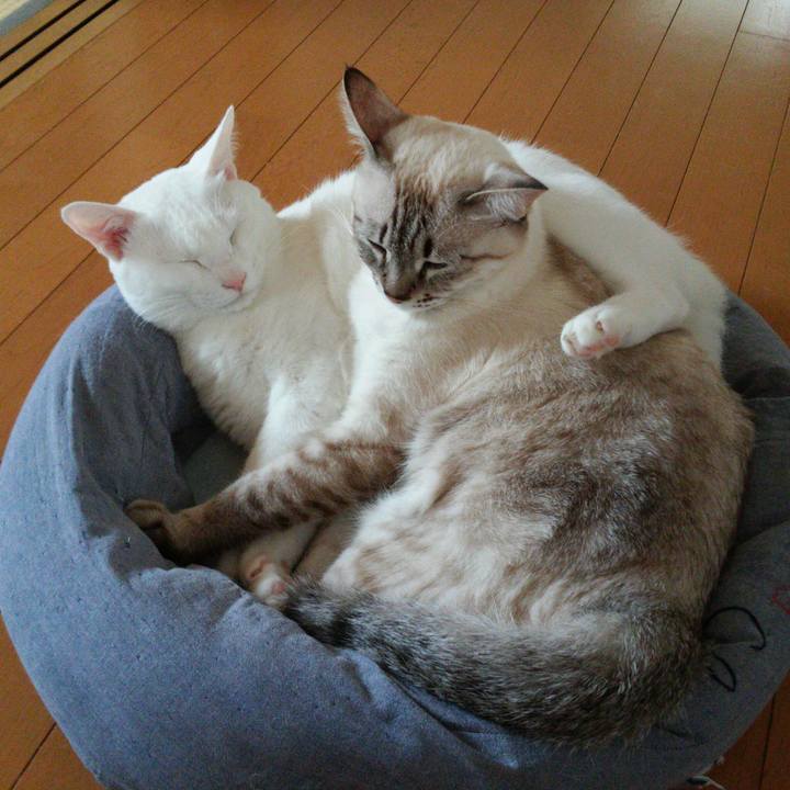 223b53b7 8793 49f1 af5d b8ecf30e5da1 1508304443123