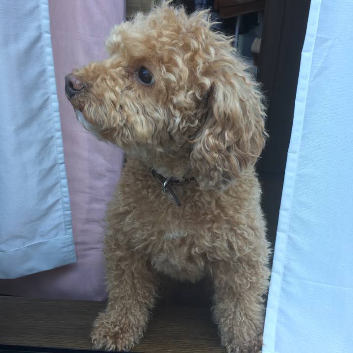 223b5ebe e747 4ce2 8b1d 8b4d4a8384c6 1526005377325