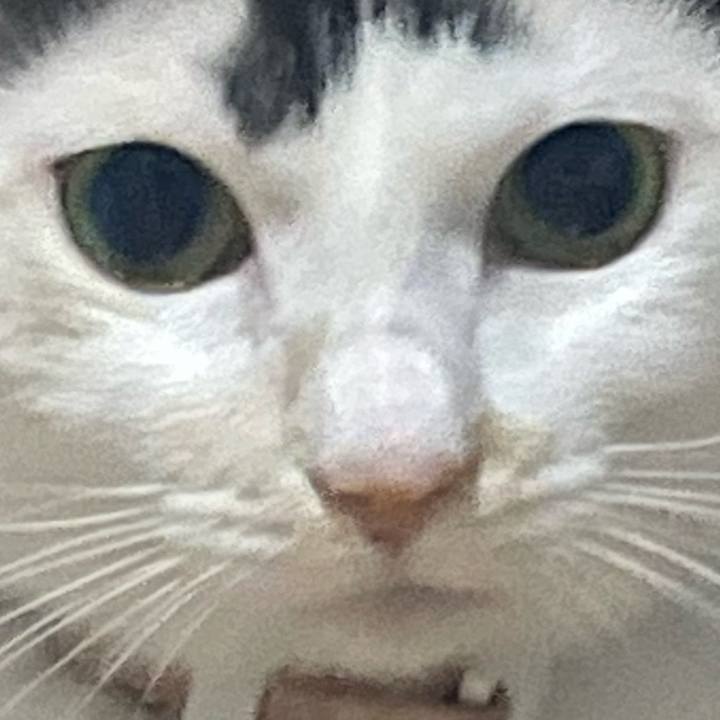 223b7a06 2046 4f2b 8dd2 21c8c07847dc 1760799130034