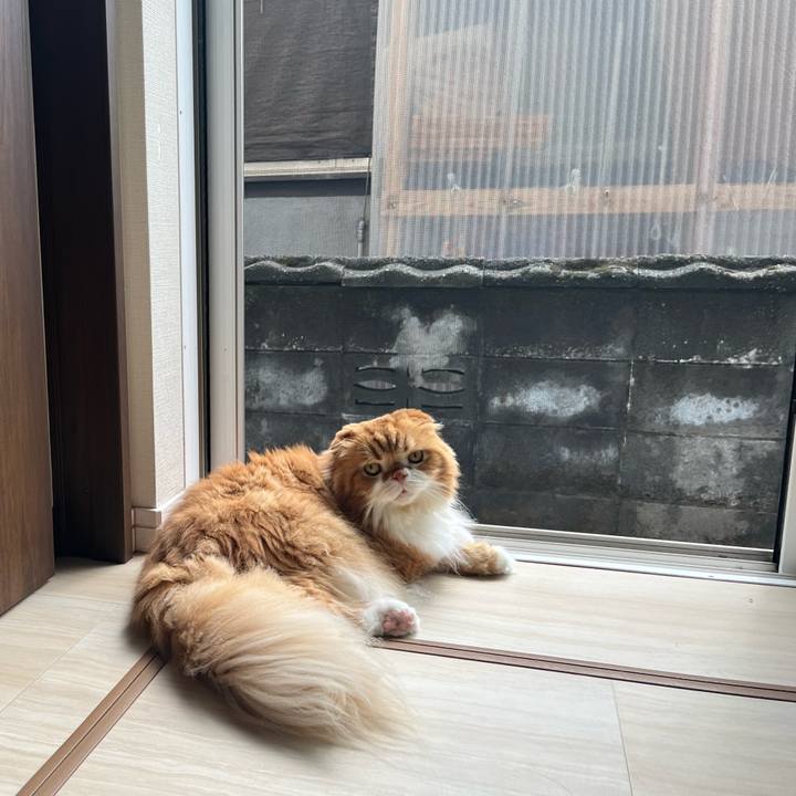 223bae71 cda5 4334 bced aa97c6d9f6db 1757730123155