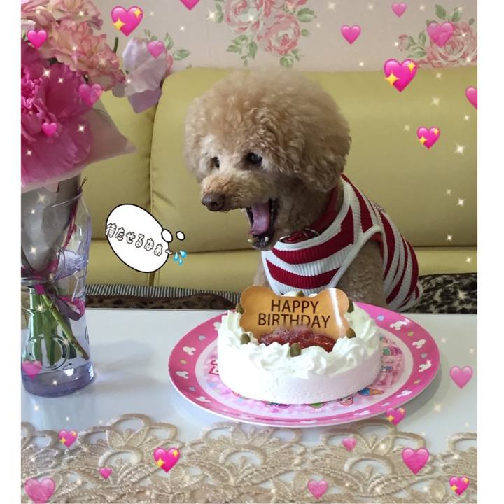 223c14a3 96e5 406d 8668 93e42f6e2e72 1585472726521