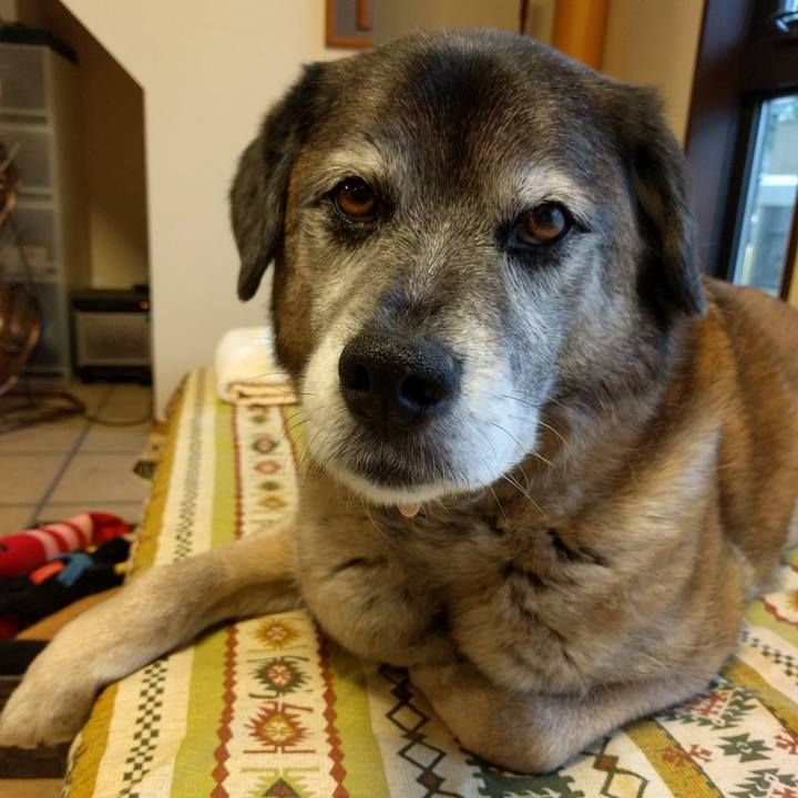 223c17a3 8c35 4dae 8df8 cc244cac2404 1523922946173