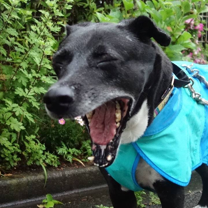 223c1c31 1a4e 4880 bb4b 7c575d5bf47e 1684802848608