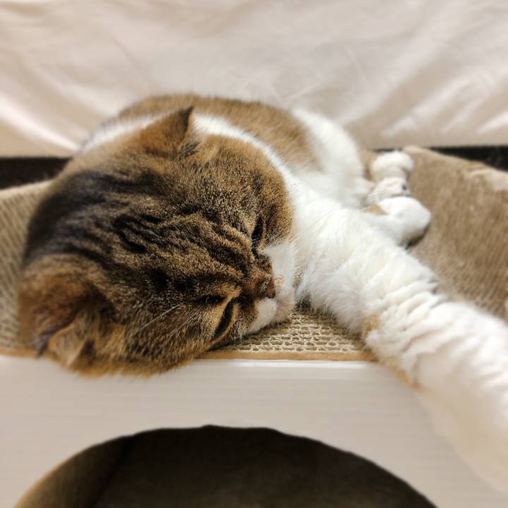 223c2739 2ae0 4918 8985 b787c8ac6f7f 1597238132956