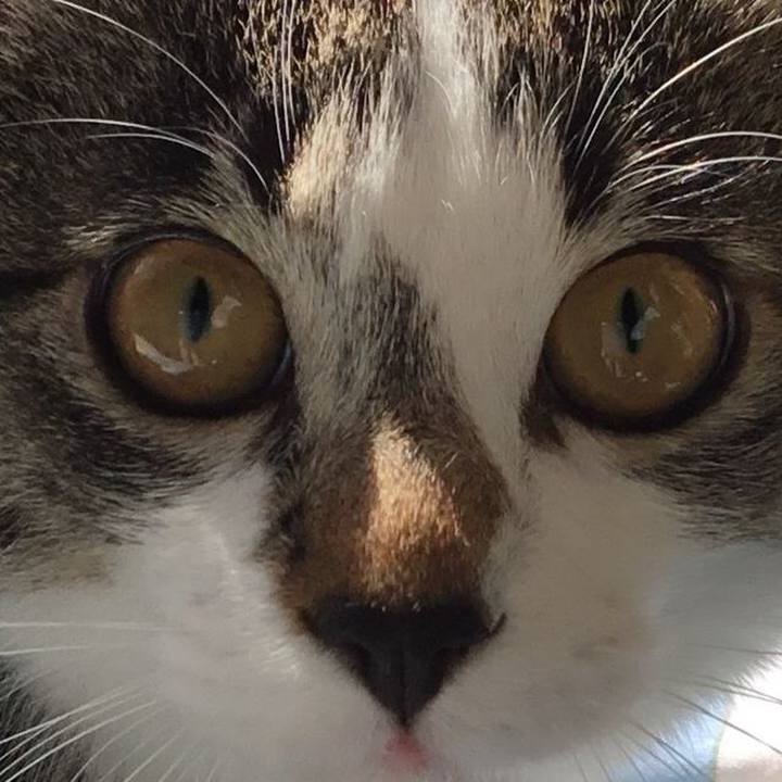 223c3a4e f429 40f3 9648 b33f619ace47 1641421621468