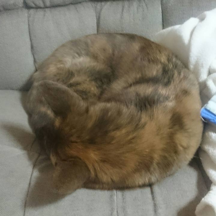 223c4693 0fa9 42f1 adac 62cd6342fc6f 1520943740165