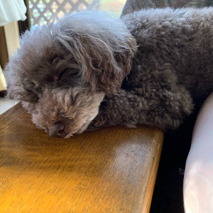 223c6294 e4a6 48c7 9f9a 75dae5e8295b 1598478732287