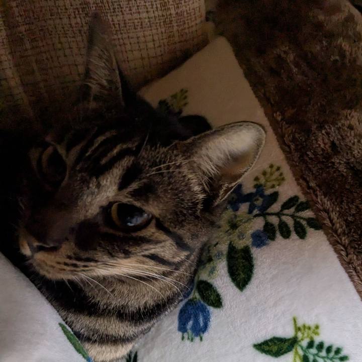 223c991f a0f3 4971 9db8 edc1247c20e7 1761563131119