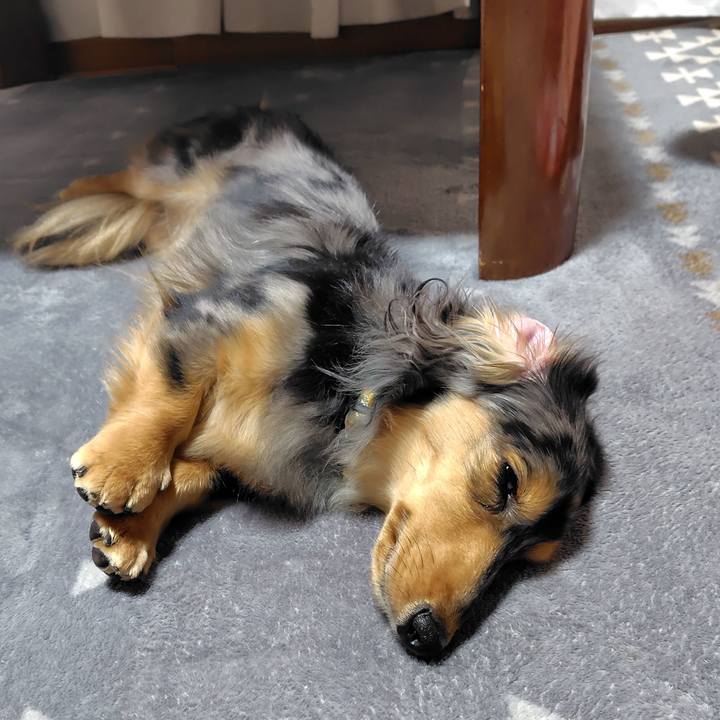 223cb053 b9d9 4e30 a770 94e29506f2d1 1763893538181