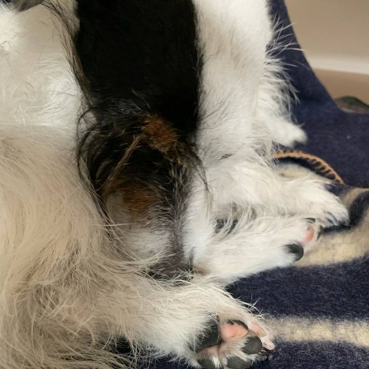 223cb345 afae 43c9 b6b8 ec3061b5c9df 1679104340550