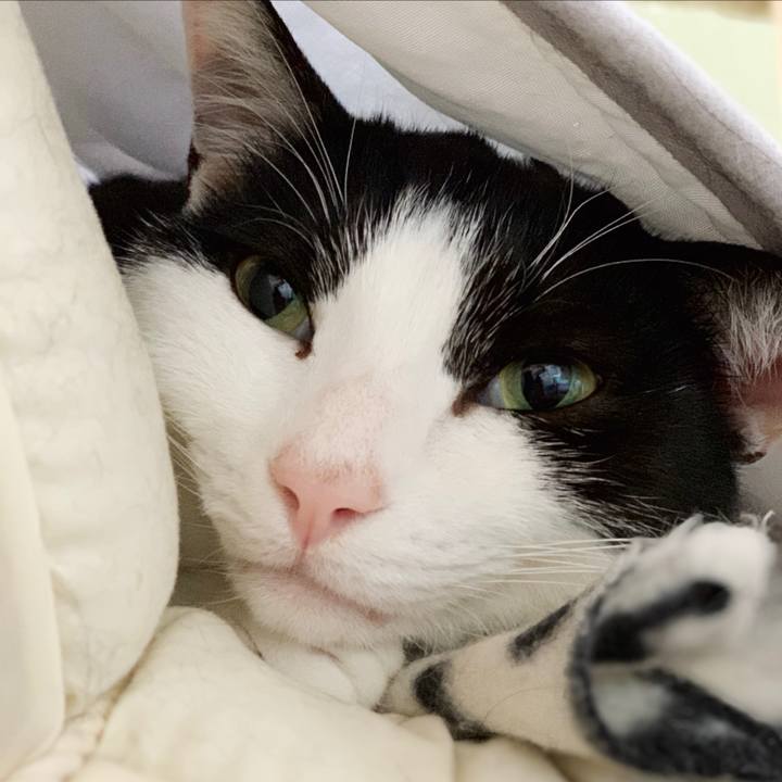 223cc80e fee2 4449 86f6 25d5ac7c06bb 1549936741352