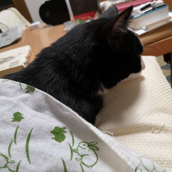 223ce1ca f4bc 46a5 aeb8 413248868c8b 1659670224763