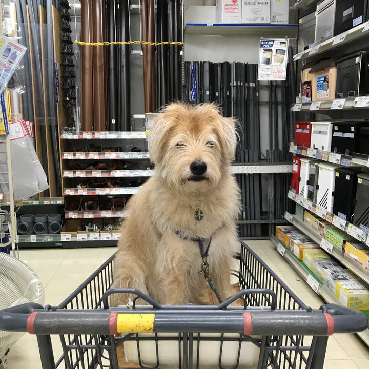 223cf20e 07f1 4b46 a295 96521c18926b 1562065794819