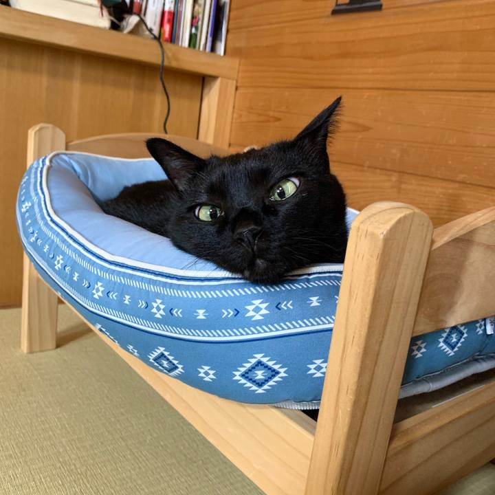 223d0a56 8137 4753 9493 997ccaaf1b74 1591233972012