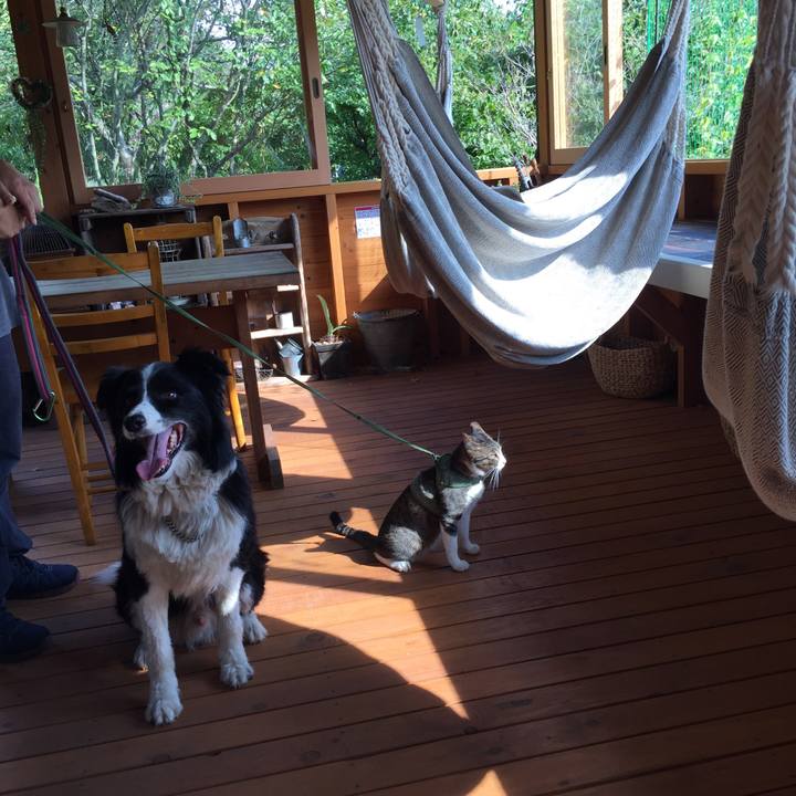 223d11a3 0583 4bd4 8257 6fd69f74c11e 1535353209077