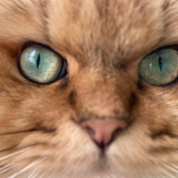 223d855c e80b 4567 a45f 7d8c71801ad8 1632541865738