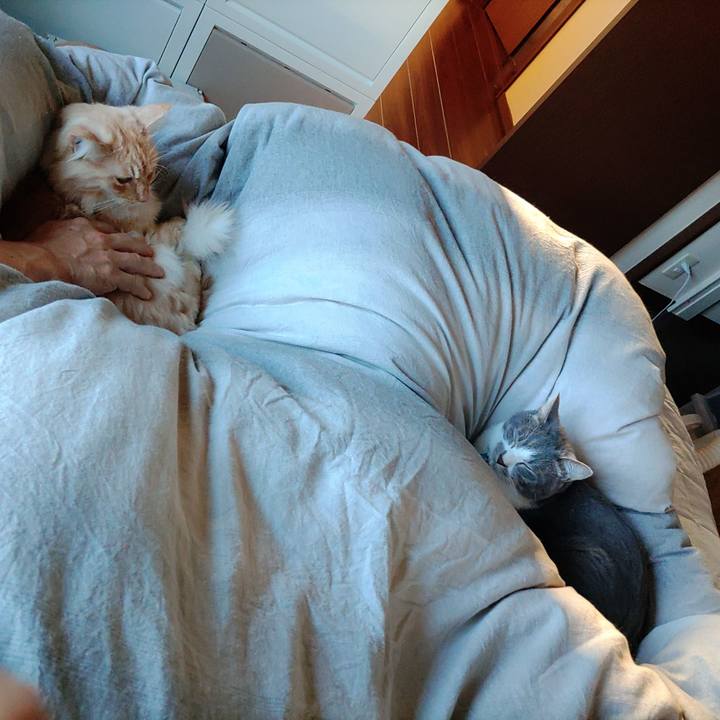 223d97e5 063c 4aee a381 bdecb3e47dad 1666830972502