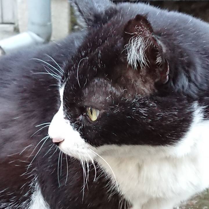 223dc782 c5a7 4e80 a783 29677dfbfe9c 1608443904078