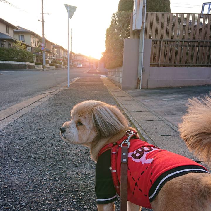 223dd779 f9d2 4b2e bd0c e4dce3b06561 1616493685633