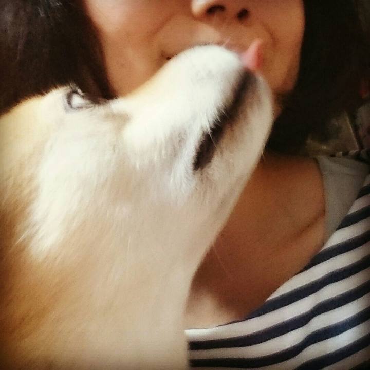 223df673 577c 4344 a164 16e82405d622 1523368682355