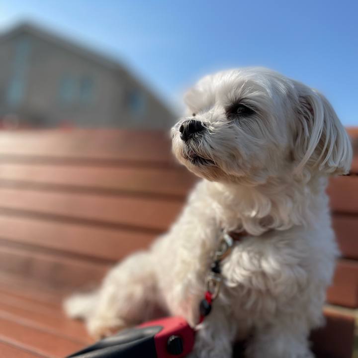 223dfe67 308a 44db a83b 07efa5cdeaaf 1653598179302