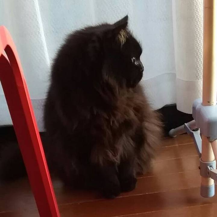 223e4195 def0 4778 814a 6f13b1398222 1524315714152