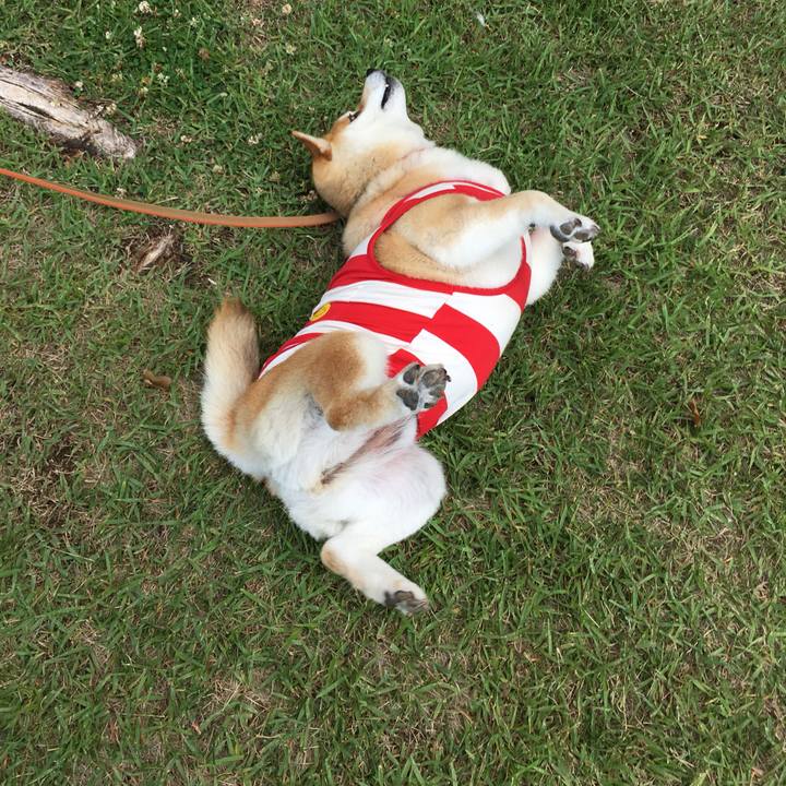 223e460f cd76 4d7f 81a8 d71dbb241b52 1559977837677