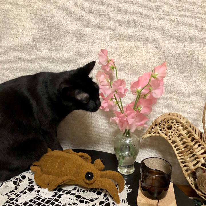 223e4ffc 9a68 4463 9543 66c8a76f5251 1518690051729