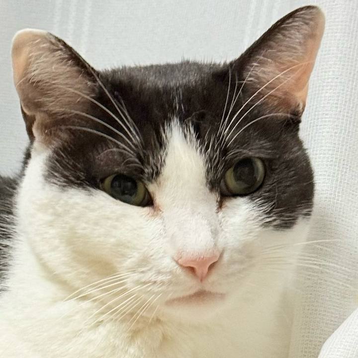 223e818f e41c 4fe5 a07c 781ca2ef865e 1762826134982