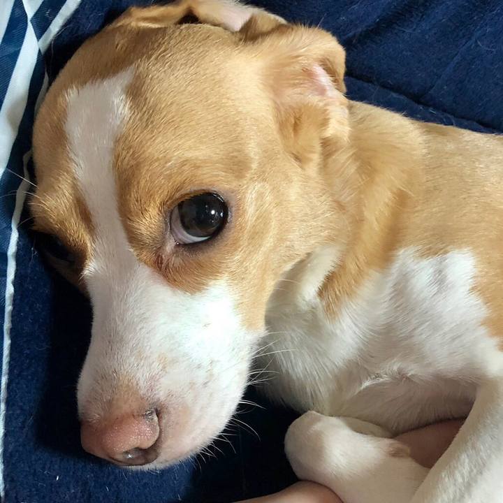 223e96df b5ad 4051 98e7 60b50477948b 1561452005286