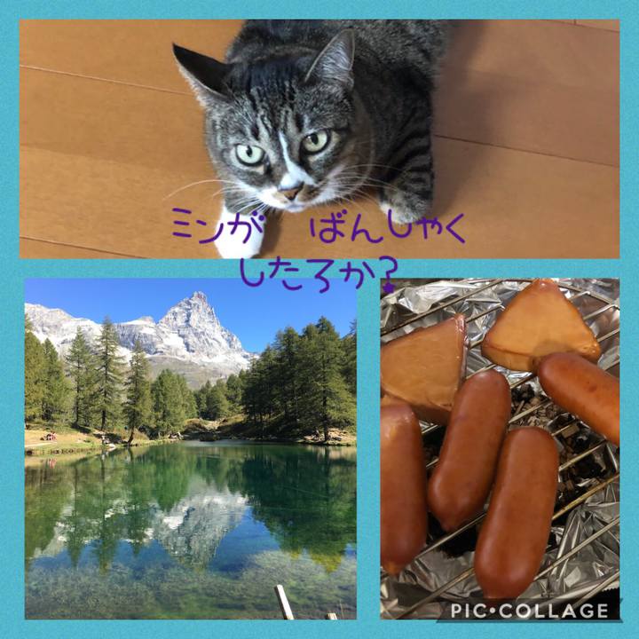 223e9785 1e20 4449 b6ce f6cdbbc8f501 1599818281207