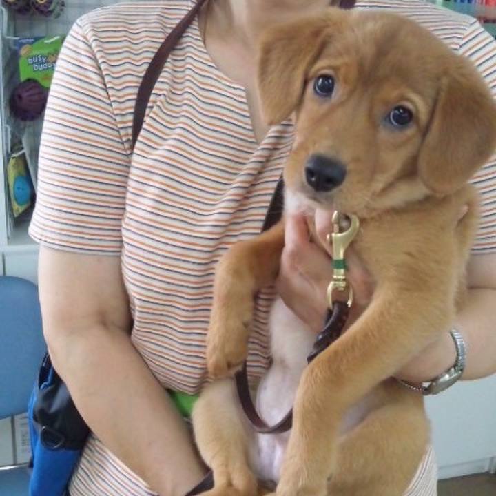 223eb527 c3c1 463d bd07 6b3991a8e4e5 1565266040048