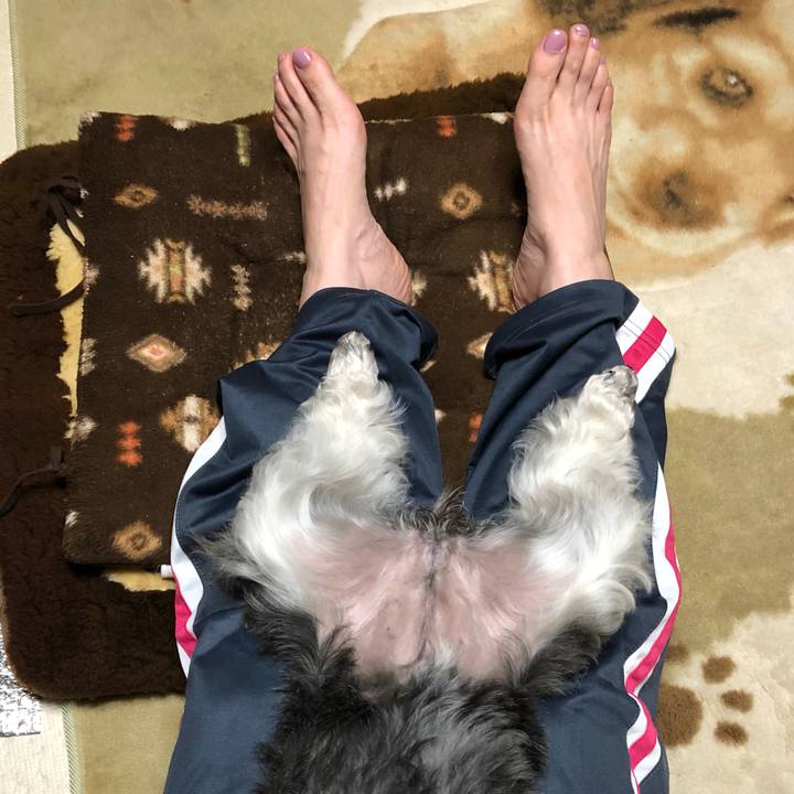 223eccdb 31c1 4f98 8e8b d6d095d099f3 1559998691610