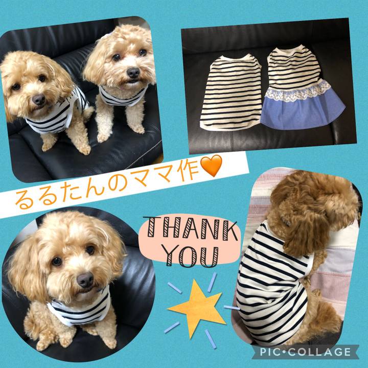 223edd05 0fc7 40b9 8b08 b9474f4a6b48 1629299741451