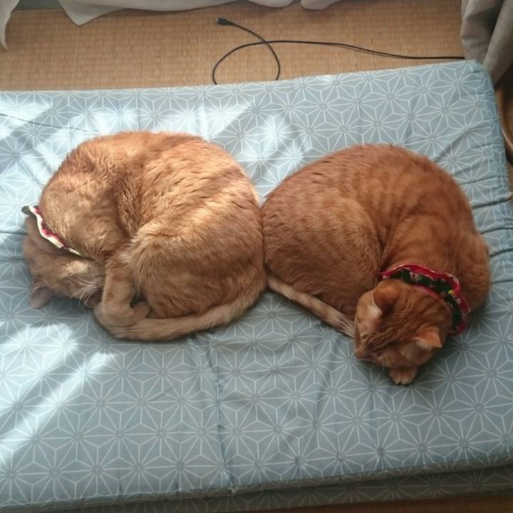 223ee4df 0fbe 406f 9d8b 52fe57bc2052 1518846991047