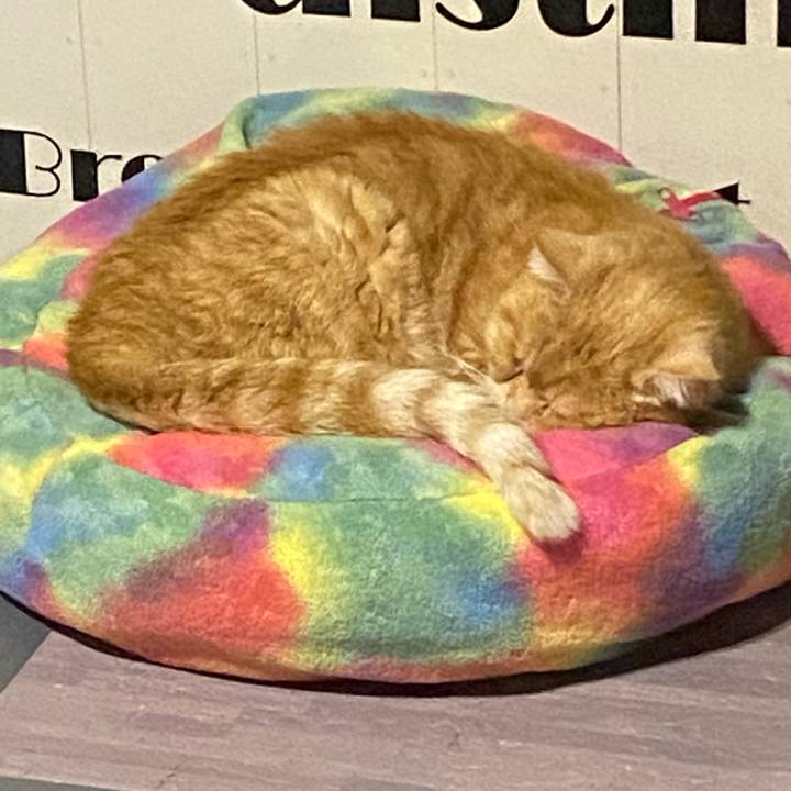 223eed8c 6595 4d3a 8351 c4dcab7ac76c 1681645104497