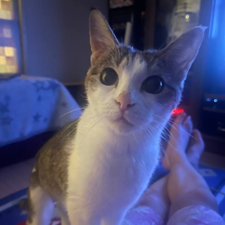 223f04c6 b144 4a27 ad02 9853838b1571 1625750806298