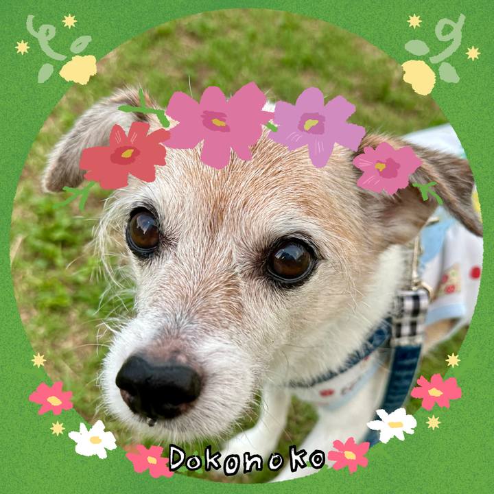 223f0888 ebca 4d7a b3aa 0c99c078167c 1727394307915