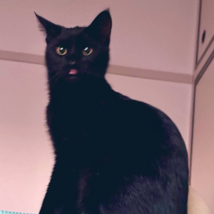 223f3b1c fceb 4deb 8d0d 47ca2dd8c16e 1733447264353