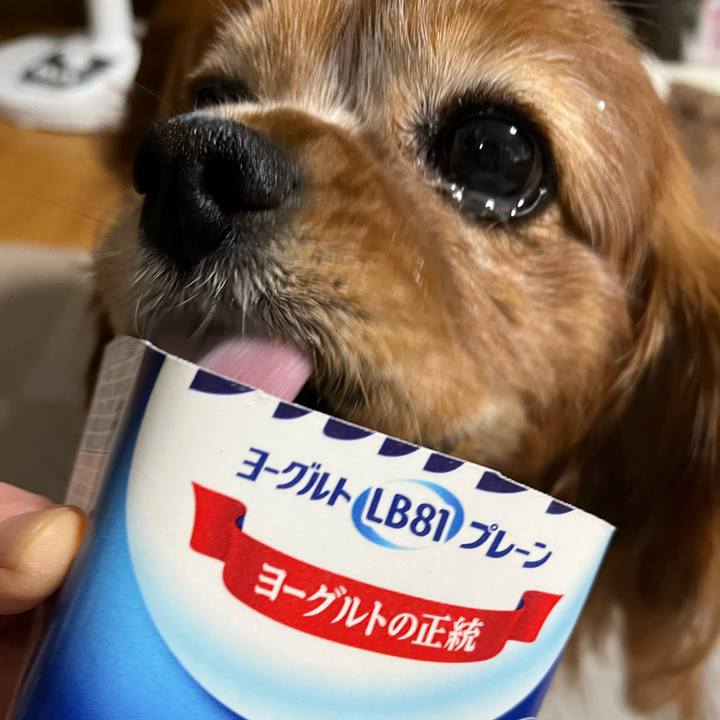 223f4c03 b5d4 452a 89e2 06d9ebaf383c 1732833138531